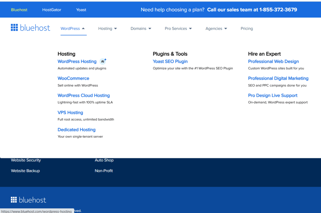 Bluehost key features